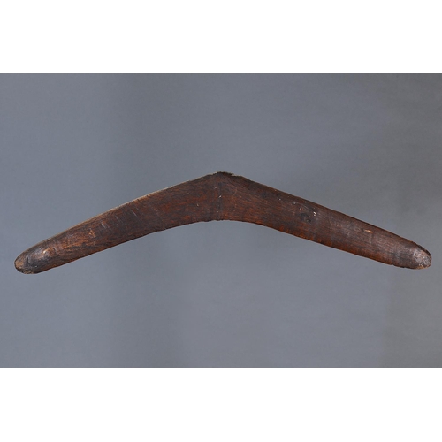 1295 - RARE EARLY BOOMERANG, VICTORIA, Carved hardwood (no custom stand) Of thin bi-convex section with rib... 