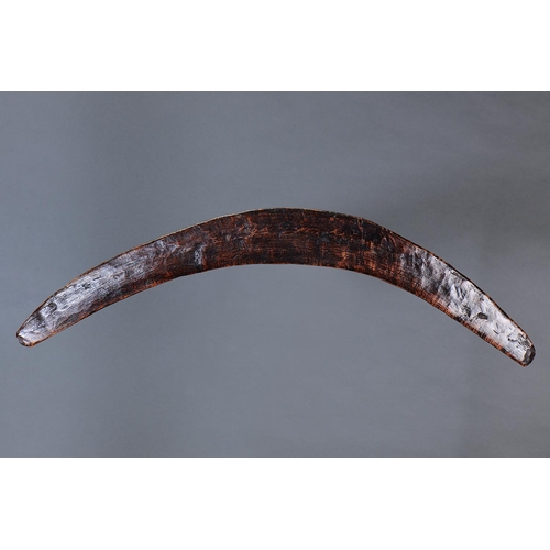 1298 - RARE EARLY BOOMERANG, VICTORIA, Carved hardwood (no custom stand) Of thin bi-convex section with rib... 