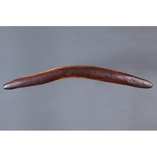 1300 - RARE EARLY BOOMERANG, WESTERN AUSTRALIA, Carved hardwood (no custom stand) Of plano-convex section w... 