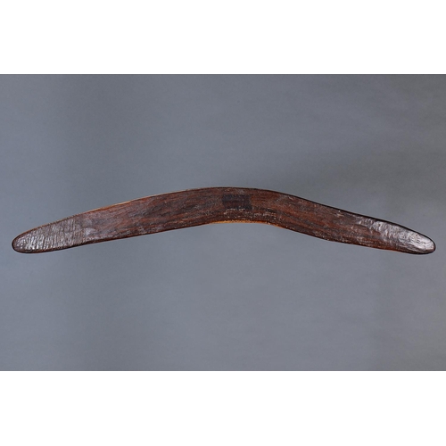1300 - RARE EARLY BOOMERANG, WESTERN AUSTRALIA, Carved hardwood (no custom stand) Of plano-convex section w... 