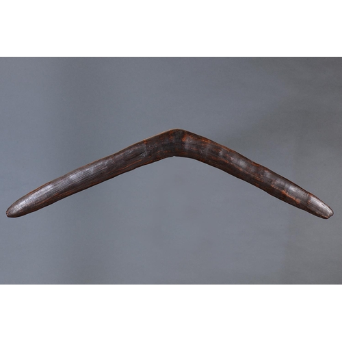1301 - EARLY LARGE RETURNING BOOMERANG, NEW SOUTH WALES, Carved hardwood (no custom stand) Of thin bi-conve... 