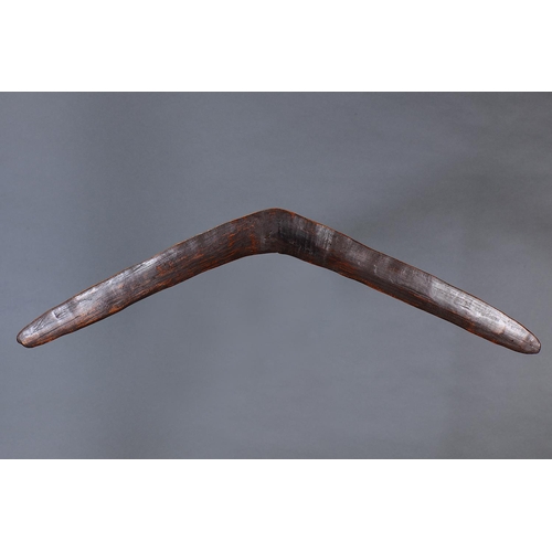 1301 - EARLY LARGE RETURNING BOOMERANG, NEW SOUTH WALES, Carved hardwood (no custom stand) Of thin bi-conve... 