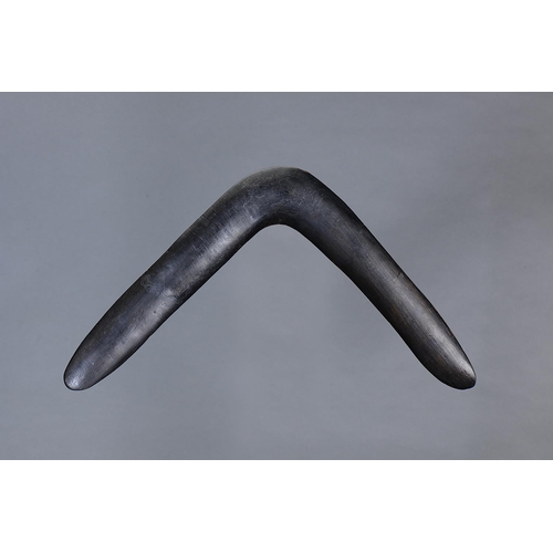 1303 - RETURN BOOMERANG, SOUTH EAST AUSTRALIAN, Carved hardwood (no custom stand) Steeply curved and of bi-... 