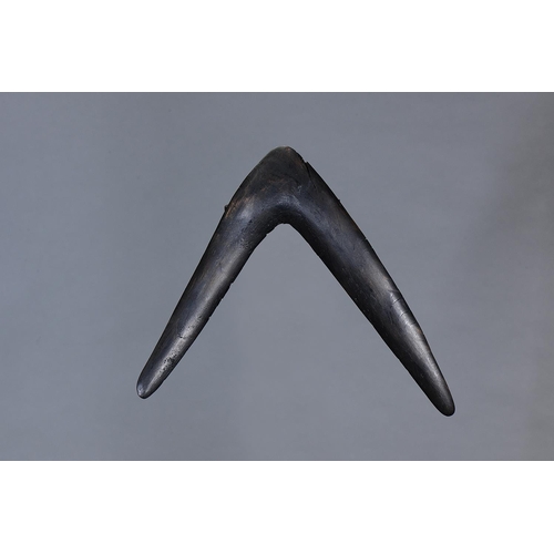 1304 - SMALL RETURN BOOMERANG, SOUTH EAST AUSTRALIAN, Carved hardwood (no custom stand) Very steeply curved... 
