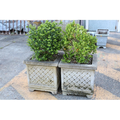 127 - Pair of composite stone garden planters, lattice decorated, with plants, each pot approx 45cm H x 45... 