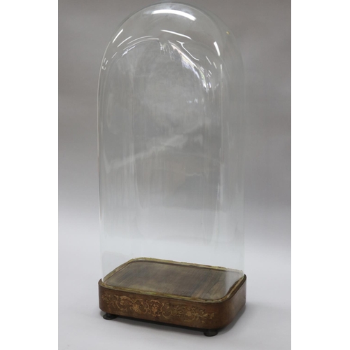 121 - Antique French glass dome with matched inlay wooden base, total approx 64cm x 29cm L x 18cm D (Pleas... 