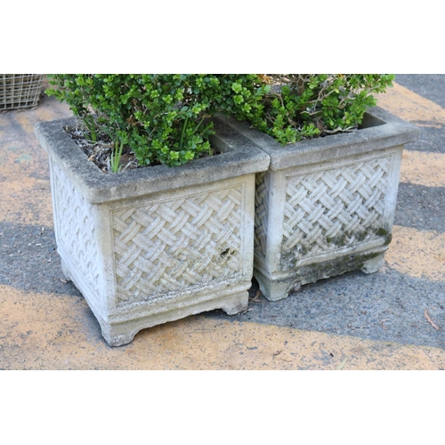 127 - Pair of composite stone garden planters, lattice decorated, with plants, each pot approx 45cm H x 45... 