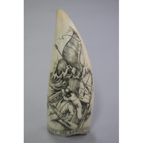 231 - Finely engraved scrimshaw whales tooth, 