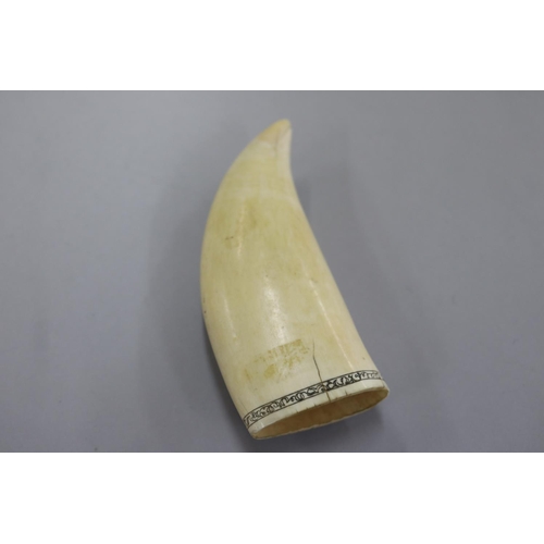 233 - Finely engraved scrimshaw whales tooth, of a three mast ship in full sail, approx 13.5 cm L