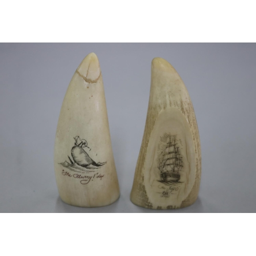 238 - Two engraved scrimshaws, both signed lower right, titled The Oflurry & The Niger, G Tonkin, each app... 