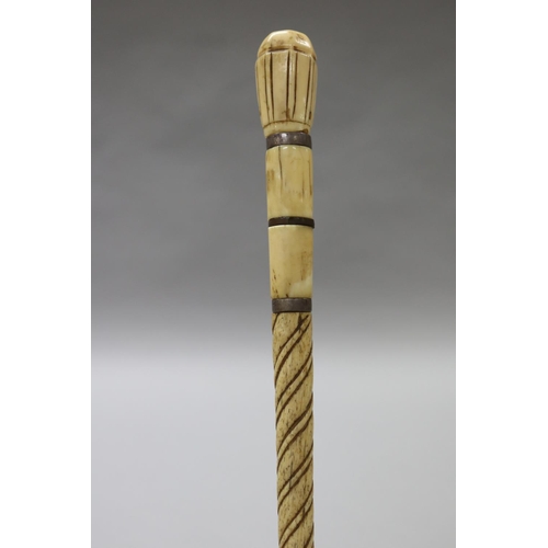 255 - Antique Narwhal tusk walking stick, approx 79cm Long