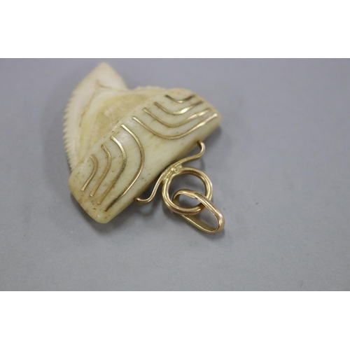 258 - Shark tooth inlaid with gold and 18ct gold mount, slightly rubbed, scratched into the top of tooth, ... 