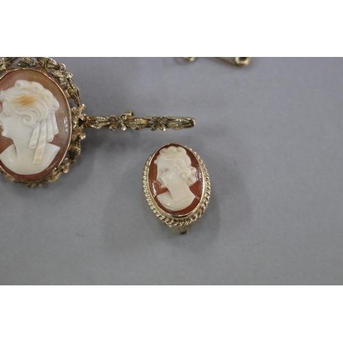 300 - 9ct gold floral and leaf cameo bar brooch with safety chain, along with a clip earrings rope twist b... 