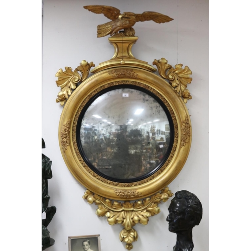 49 - Fine antique Regency giltwood convex circular mirror applied scrolling foliage and crest mounted wit...