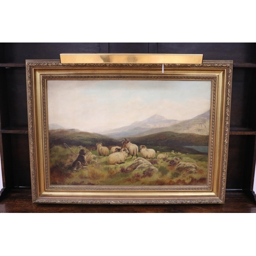 51 - William Perring Hollyer (1834-1922) England, Oil on canvas, highland sheep and hound - signed lower ... 