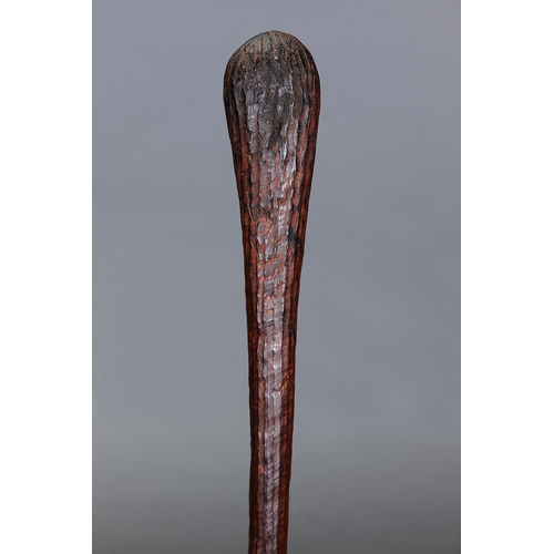 21 - EARLY TIWI THROWING CLUB, TIWI GROUP, MELVILLE AND BATHURST ISLANDS, NORTHERN TERRITORY, Carved and ... 
