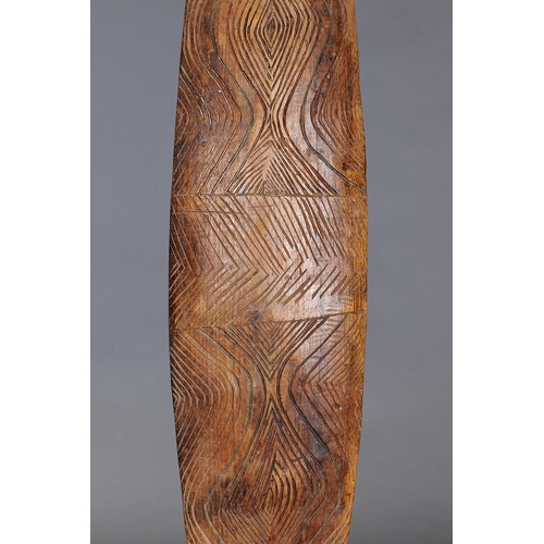 135 - FINE LARGE NARROW SHIELD, YALATA, SOUTH AUSTRALIA, carved and engraved hardwood (with custom stand) ... 