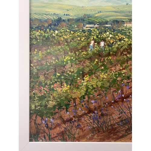 262 - Colleen M. Parker (1944-2008) Australia, Barossa Patterns, oil on board, signed  lower right, approx... 