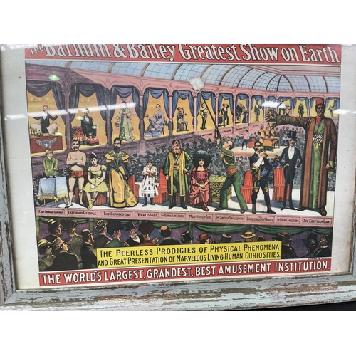 3041 - An original American circus museum poster for Barnum and Bailey Circus - in a later Rustic frame, ap... 