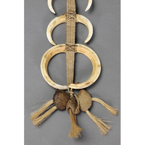 1025 - PIG TUSKS BREAST ORNAMENT, NORTH COAST OF PAPUA NEW GUINEA. Pig tusks, seeds and natural fibre. Appr... 
