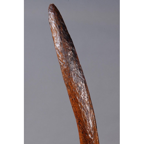 1063 - FINE EARLY ELEGANT BOOMERANG, DARLING RIVER REGION, NEW SOUTH WALES. Carved and adzed hardwood. Boom... 