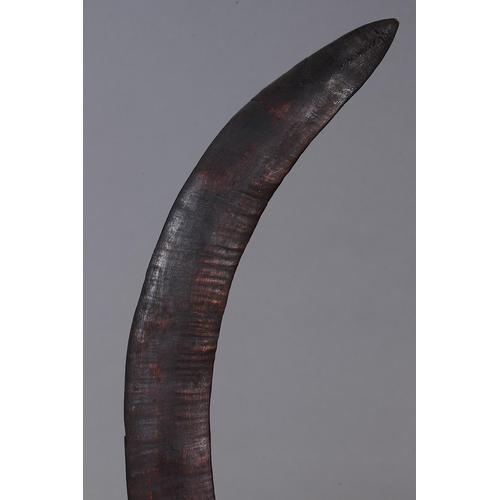 1065 - EARLY FIGHTING BOOMERANG, SOUTH EAST QUEENSLAND. Carved and engraved hardwood. Of crescent form, the... 