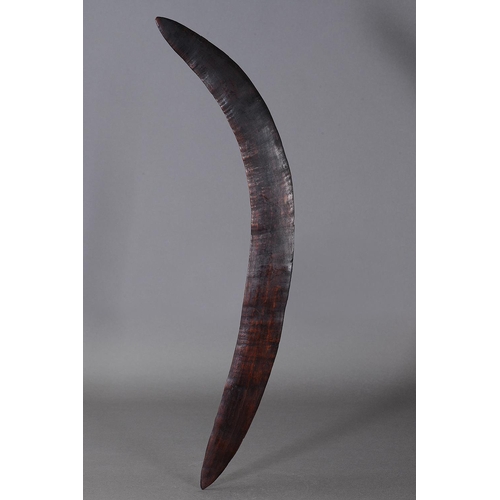 1065 - EARLY FIGHTING BOOMERANG, SOUTH EAST QUEENSLAND. Carved and engraved hardwood. Of crescent form, the... 