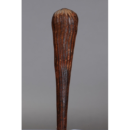 1073 - EARLY TIWI THROWING CLUB, TIWI GROUP, MELVILLE AND BATHURST ISLANDS, NORTHERN TERRITORY. Carved and ... 