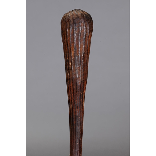 1073 - EARLY TIWI THROWING CLUB, TIWI GROUP, MELVILLE AND BATHURST ISLANDS, NORTHERN TERRITORY. Carved and ... 