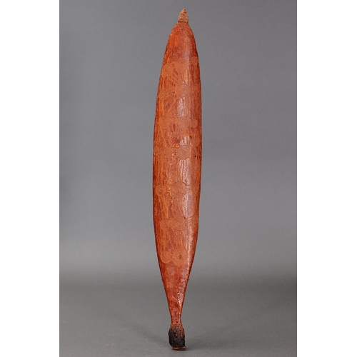 1076 - SUPERB FINE EARLY INCISED SPEAR THROWER (WOOMERA), CENTRAL AUSTRALIA, NORTHERN TERRITORY. Carved and... 