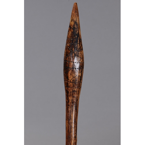 1079 - EARLY THROWING CLUB, CONDAH LAKES, VICTORIA. Carved and engraved hardwood. The curving shaft of circ... 