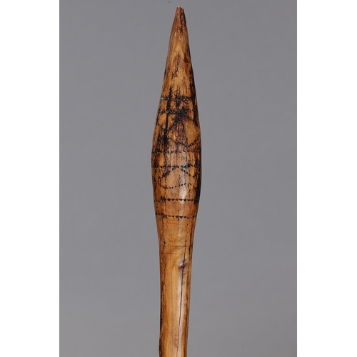 1079 - EARLY THROWING CLUB, CONDAH LAKES, VICTORIA. Carved and engraved hardwood. The curving shaft of circ... 