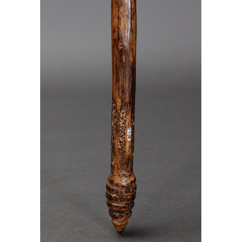 1079 - EARLY THROWING CLUB, CONDAH LAKES, VICTORIA. Carved and engraved hardwood. The curving shaft of circ... 