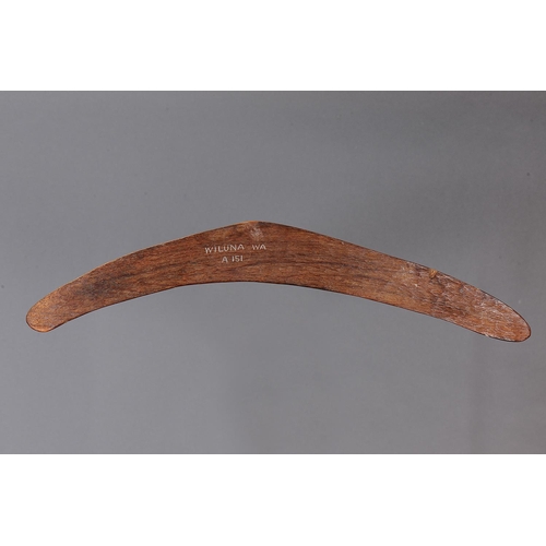 1087 - ADZED WESTERN DESERT BOOMERANG, WESTERN AUSTRALIA. Carved and adzed hardwood. Of plano-convex sectio... 