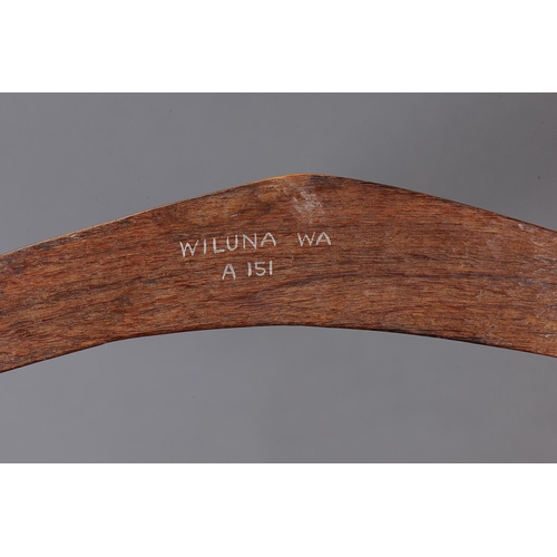 1087 - ADZED WESTERN DESERT BOOMERANG, WESTERN AUSTRALIA. Carved and adzed hardwood. Of plano-convex sectio... 