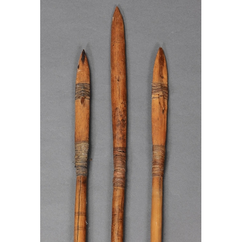 1090 - COLLECTION OF THREE HUNTING SPEARS, WARBURTON RANGES, WESTERN AUSTRALIA. Carved hardwood and kangaro... 