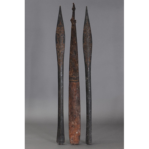 1142 - A COLLECTION OF THREE SAGO STIRRERS, PAPUA NEW GUINEA. Carved and engraved wood. Approx Lengths 72cm... 