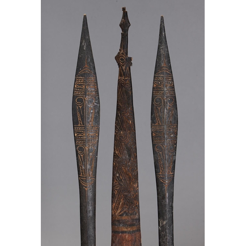 1142 - A COLLECTION OF THREE SAGO STIRRERS, PAPUA NEW GUINEA. Carved and engraved wood. Approx Lengths 72cm... 