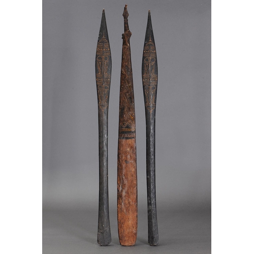 1142 - A COLLECTION OF THREE SAGO STIRRERS, PAPUA NEW GUINEA. Carved and engraved wood. Approx Lengths 72cm... 