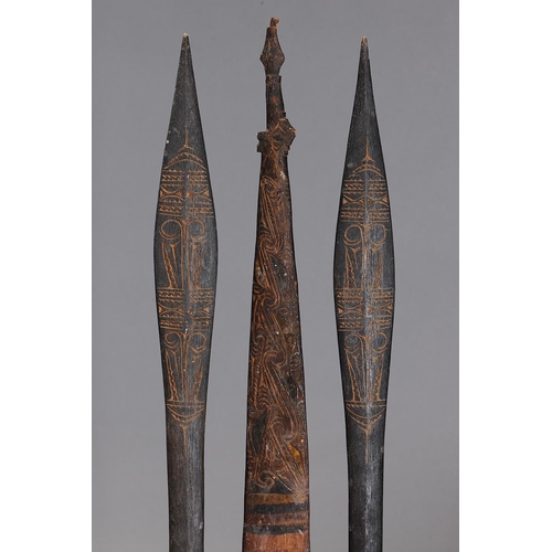 1142 - A COLLECTION OF THREE SAGO STIRRERS, PAPUA NEW GUINEA. Carved and engraved wood. Approx Lengths 72cm... 