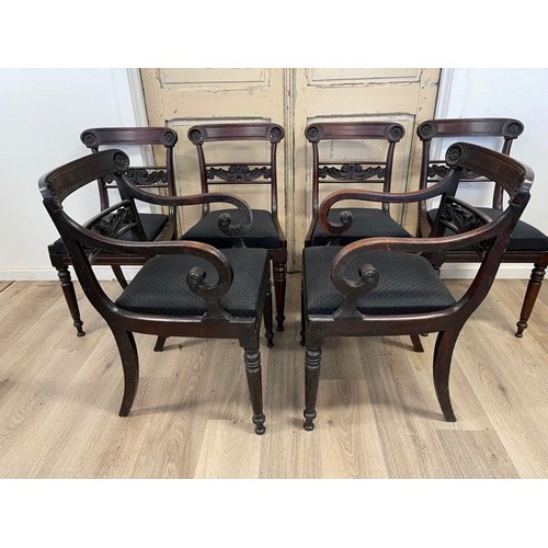 94 - Set of six rare early mid 19th century Australian cedar dining chairs, comprising pair of arm chairs... 