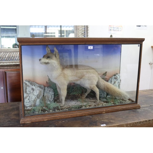 252 - Antique taxidermy glass cased standing fox, on naturalistic ground, cabinet approx 64.5cm H x 108.5c... 