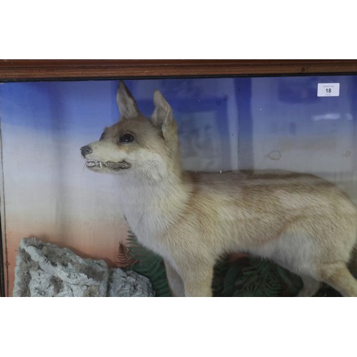 252 - Antique taxidermy glass cased standing fox, on naturalistic ground, cabinet approx 64.5cm H x 108.5c... 