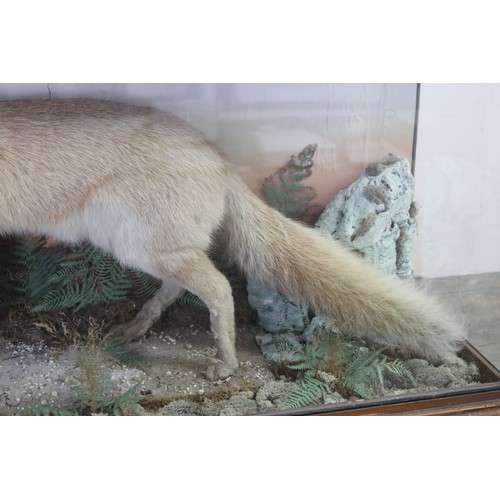 252 - Antique taxidermy glass cased standing fox, on naturalistic ground, cabinet approx 64.5cm H x 108.5c... 