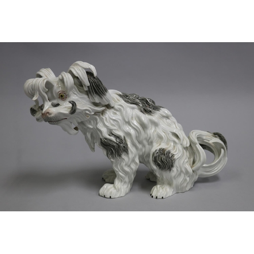 81 - Large antique Potschapple Dresden porcelain Bolognese dog, approx 14cm H x 35cm W