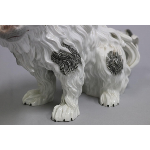 81 - Large antique Potschapple Dresden porcelain Bolognese dog, approx 14cm H x 35cm W