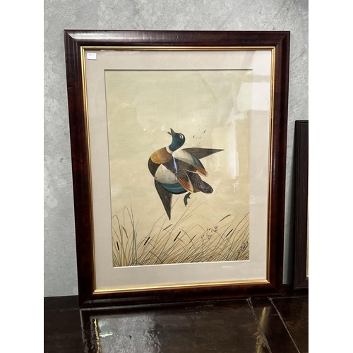 1322 - Neville William Cayley (1886-1950) Australia. shot duck, watercolour, signed lower right, approx 55.... 