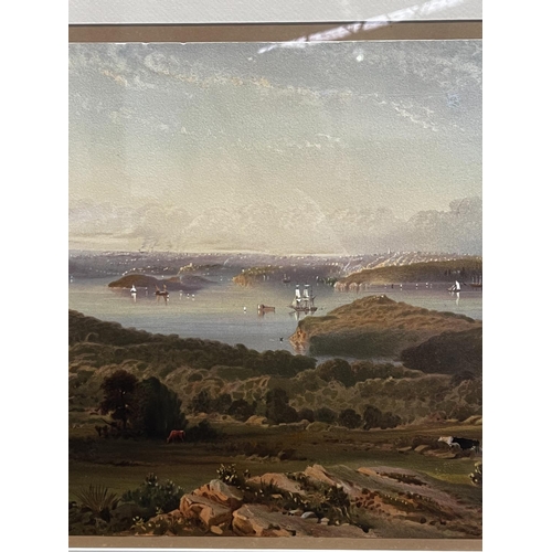 1343 - Sydney from the heights of Mosman, antique chromolithograph, Reynolds, P. E. (Phillip Edward), 1848-... 