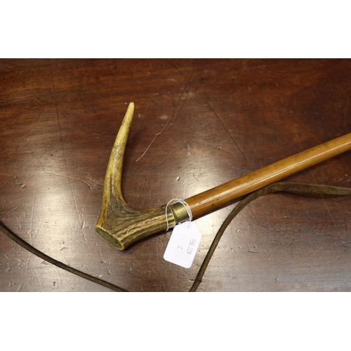 334 - Old riding crop with horn handle, approx 159cm L total length