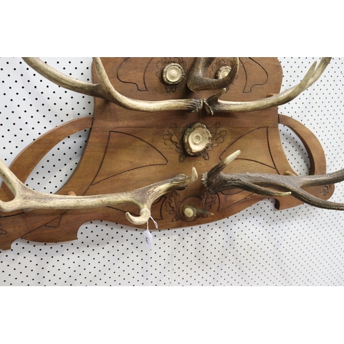 335 - Unique European wall mountable coat rack, of antlers & sections, approx 62cm H x 115cm W